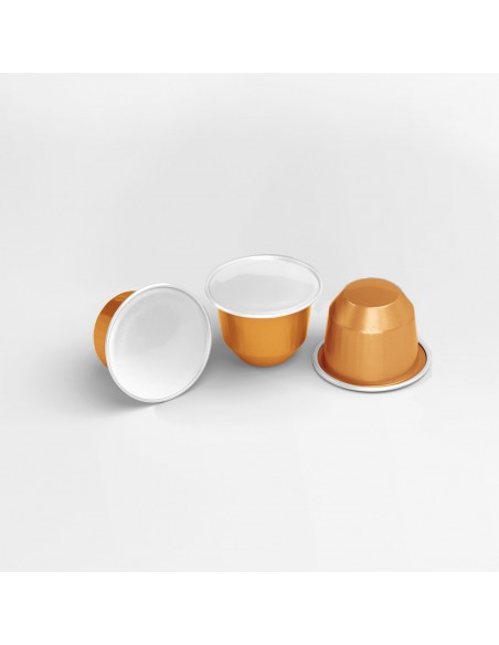 Café capsules ABSOLU Compatibles Nespresso® x10